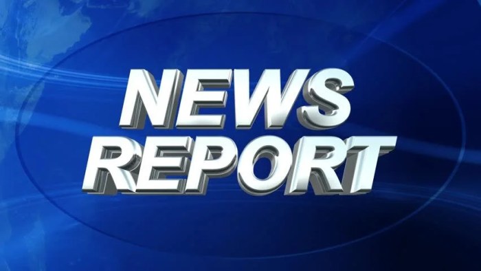 Report logo background cocorioko sierra leone government officials koroma president salone coastline trains sailor secure shutterstock kanu uncategorized chief executive